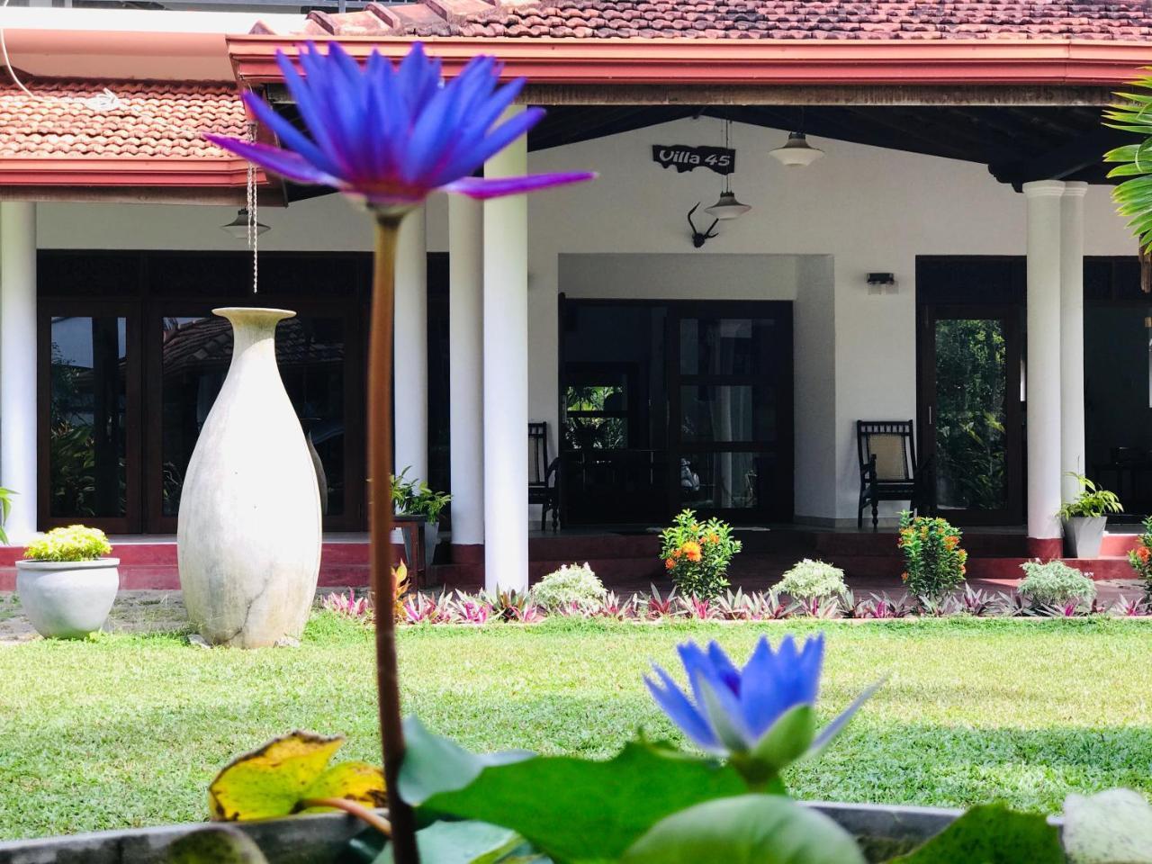 Villa 45 - Balapitiya Exterior photo